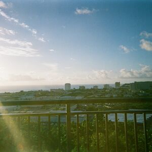 Gallery Photo 133