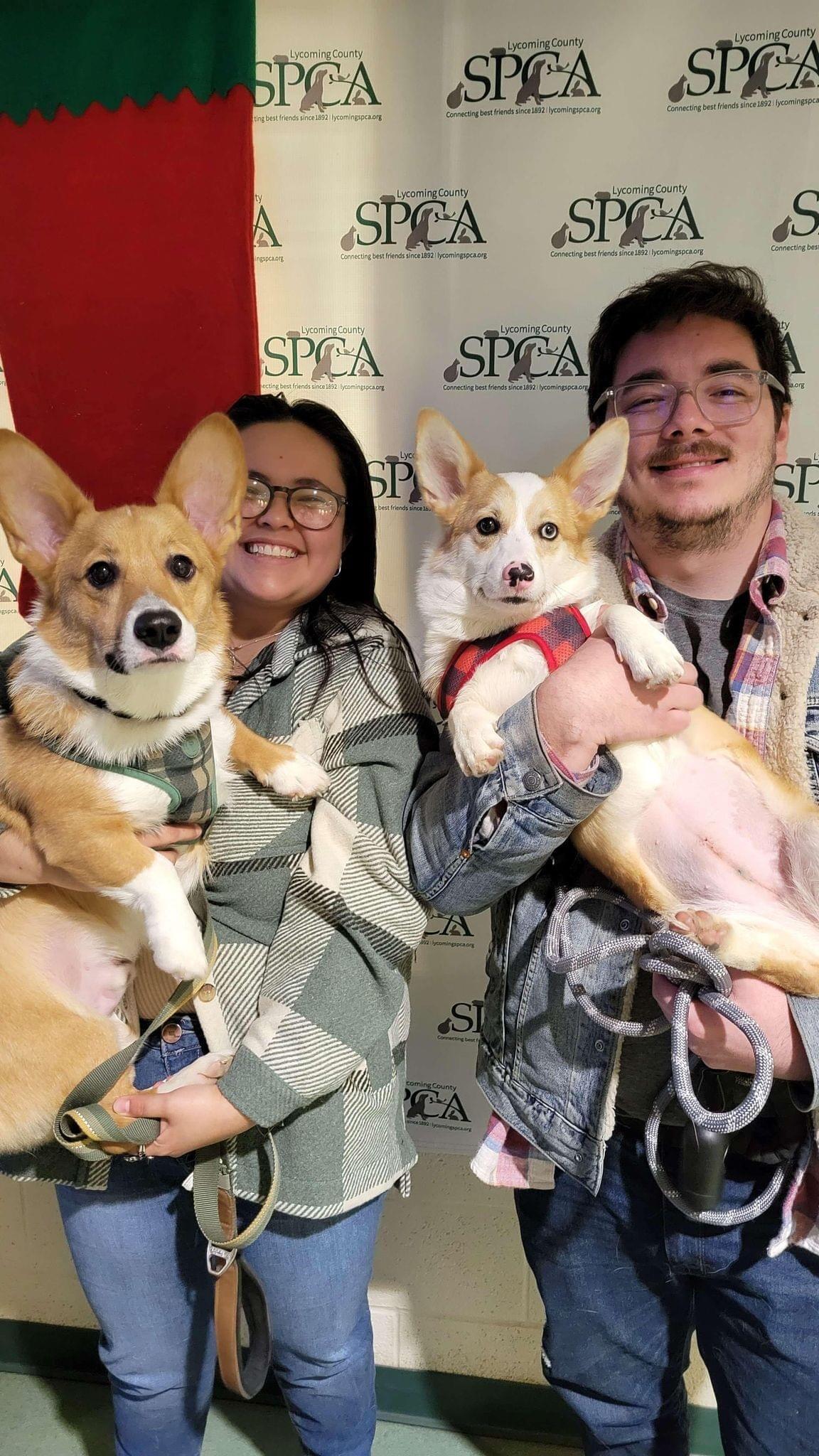 The day we adopted Molly into our little family! 