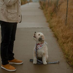 Gallery Photo 31