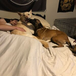 Gallery Photo 67