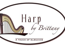 Brittany Smith - Classical Harpist - Barrington, IL - Hero Gallery 4