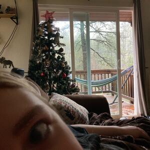 Gallery Photo 8