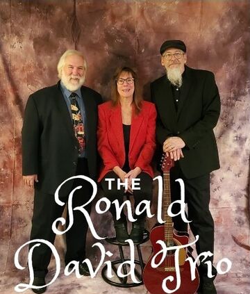 The Ronald David Trio - Oldies Band - Hammond, IN - Hero Main