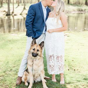Gallery Photo 8
