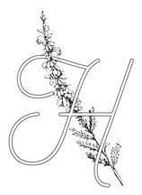Vendor Logo