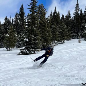 Gallery Photo 23