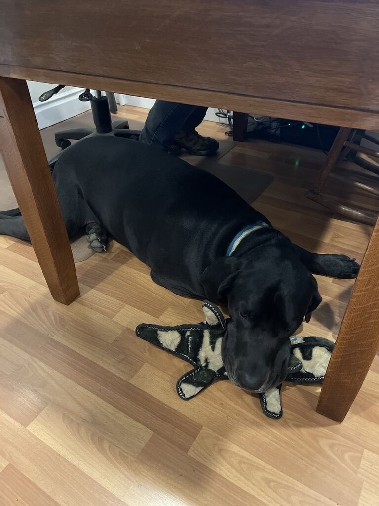 “I want to stay with daddy”