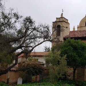 Gallery Photo 1