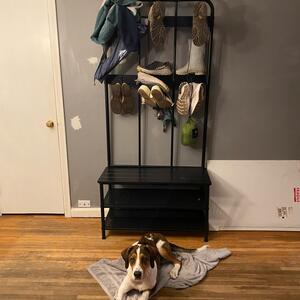 Gallery Photo 64
