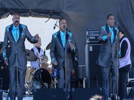 The New Orleans Mystics - Motown Band - New Orleans, LA - Hero Gallery 1