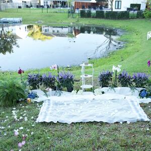Gallery Photo 14