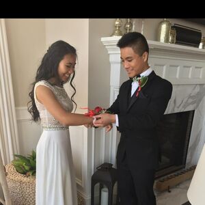 Gallery Photo 5