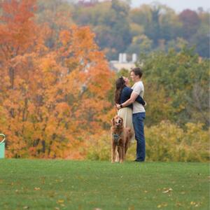 Gallery Photo 21
