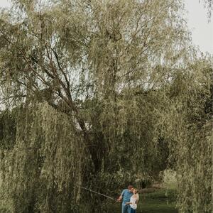Gallery Photo 18