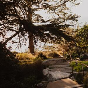 Gallery Photo 62
