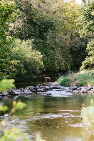 Creek Bend Nature Center | Reception Venues - The Knot