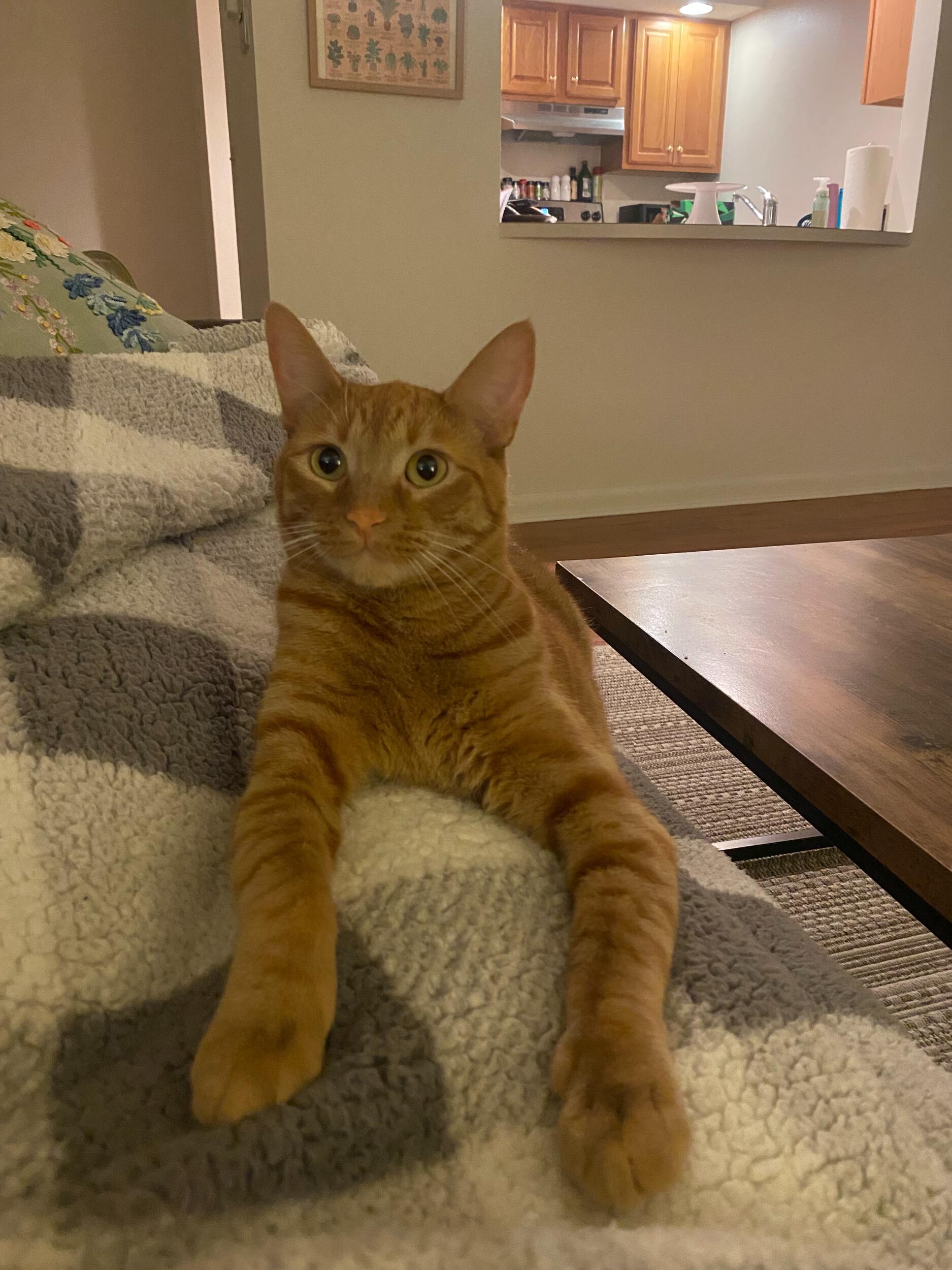 Day we adopted Clay 