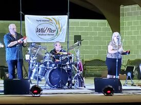 Wild Rice - Dance Band - Cincinnati, OH - Hero Gallery 3