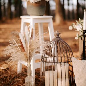 Gallery Photo 30
