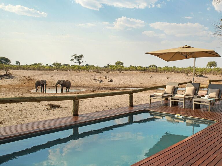 elephants drink from watering hole close by as a pool deck view appears for a botswana honeymoon