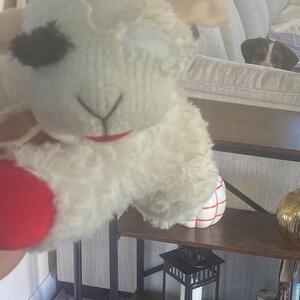 Gallery Photo 65