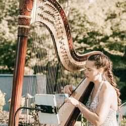 Harp & Soul, profile image