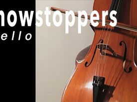 Showstoppers Talent  - Classical Trio - Cincinnati, OH - Hero Gallery 4