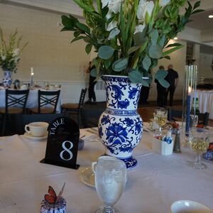 Gallery Photo 56