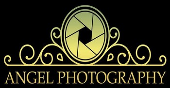 Vendor Logo