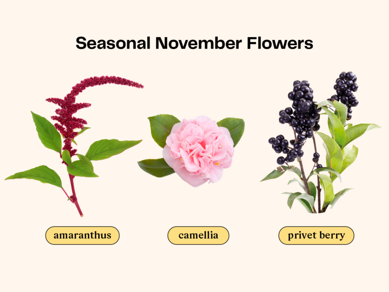 Collage of flowers that are in season for a November wedding. 