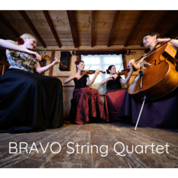 BRAVO String QUARTET, profile image