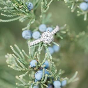 Gallery Photo 29