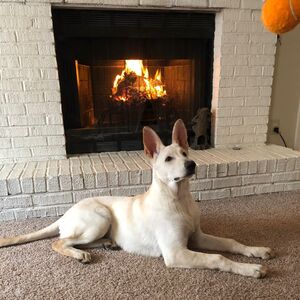 Gallery Photo 28