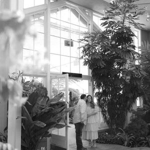 Gallery Photo 1