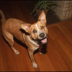 Gallery Photo 14