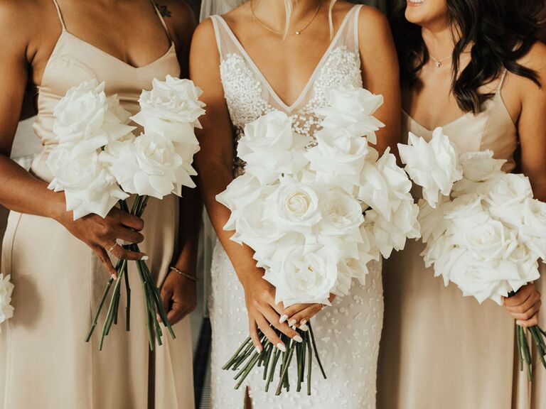 Bride with bridesmaids wearing champagne dresses for summer wedding