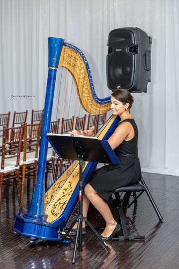 Harpist Emily Hopkins - Harpist - Brightwaters, NY - Hero Main