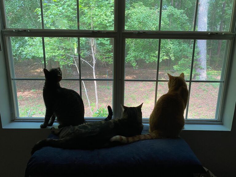 We moved to Covington, and the buddies loved it!