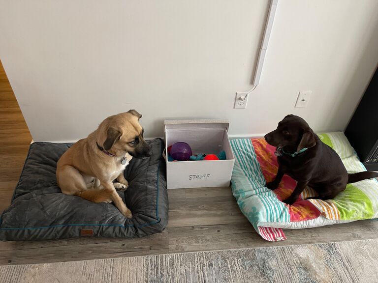 Ella and Maui realizing they are now going to be siblings