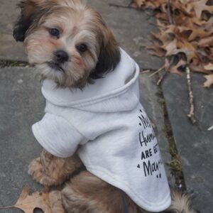 Gallery Photo 22