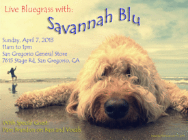 Savannah Blu Progressive Bluegrass - Bluegrass Band - Mill Valley, CA - Hero Gallery 4
