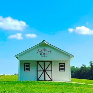 Gallery Photo 41