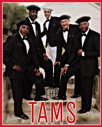 The Tams - Virtual Performances! - Dance Band - Atlanta, GA - Hero Main