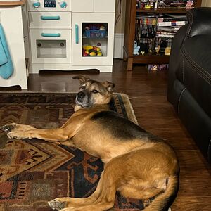 Gallery Photo 9