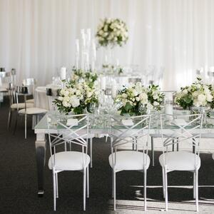 Gallery Photo 338