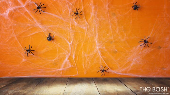 Halloween Zoom Background - Spiders