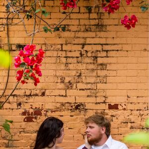 Gallery Photo 66