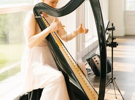 Shelley Otis - Harpist - Stoneham, MA - Hero Gallery 1