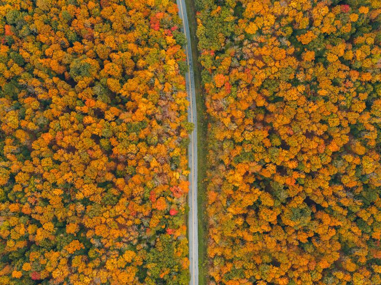 A scenic autumnal road trip through the Catskill Mountains