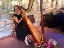 Mary Keppeler - Harpist - Milwaukee, WI - Hero Gallery 1